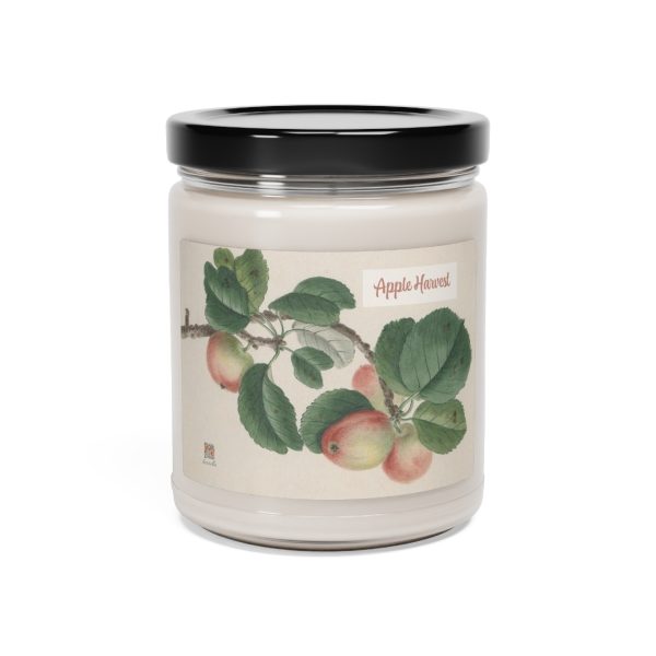 Enchanting Aromas Collection: Captivating Scents in Every Glow Scented Soy Candle - Image 6