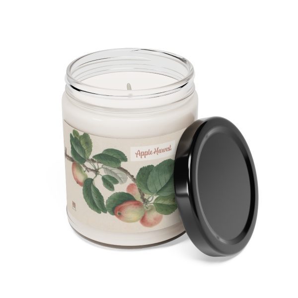 Enchanting Aromas Collection: Captivating Scents in Every Glow Scented Soy Candle - Image 7