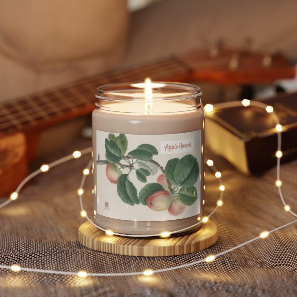 Enchanting Aromas Collection: Captivating Scents in Every Glow Scented Soy Candle - Image 8