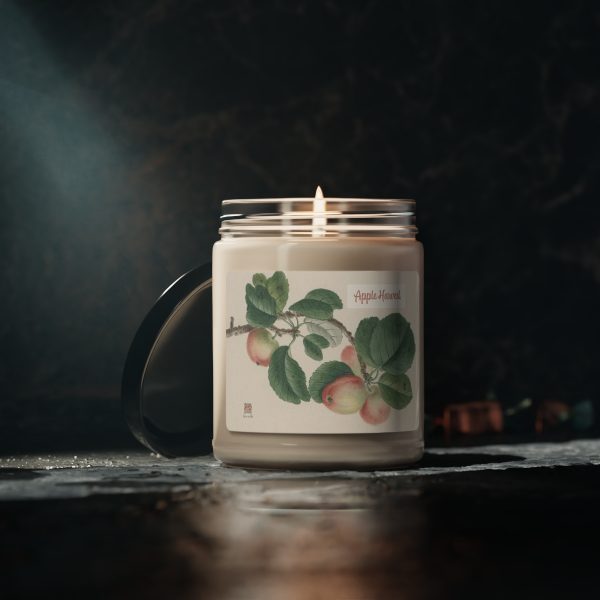 Enchanting Aromas Collection: Captivating Scents in Every Glow Scented Soy Candle - Image 10